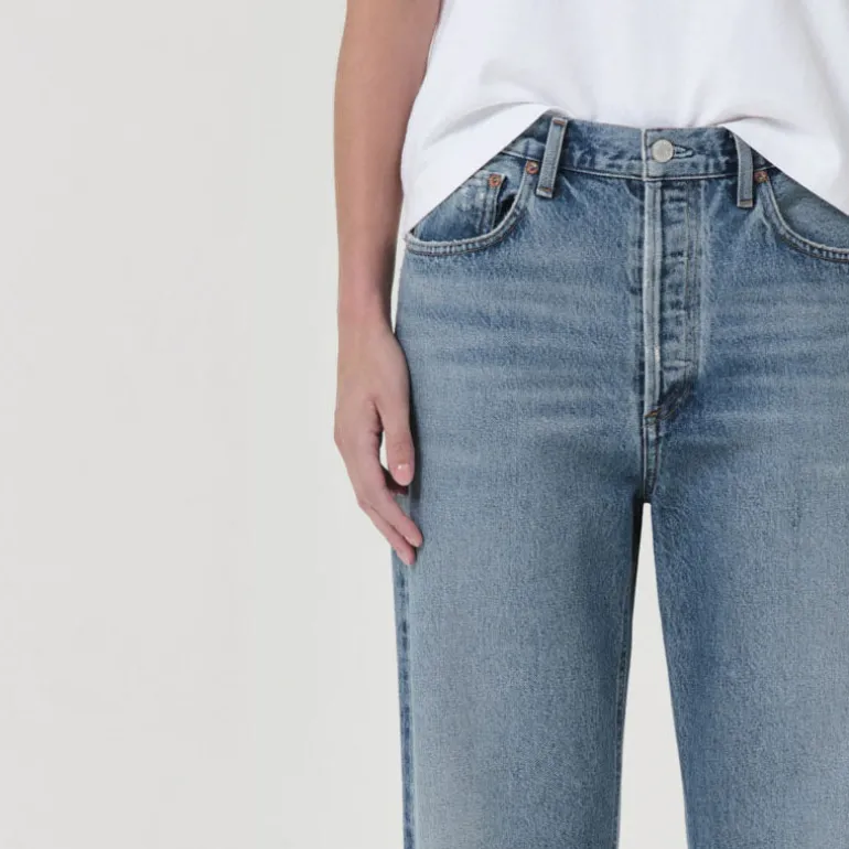 AGOLDE Fran Low Slung Straight Leg Jeans in Invention