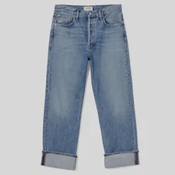 AGOLDE Fran Low Slung Straight Leg Jeans in Invention