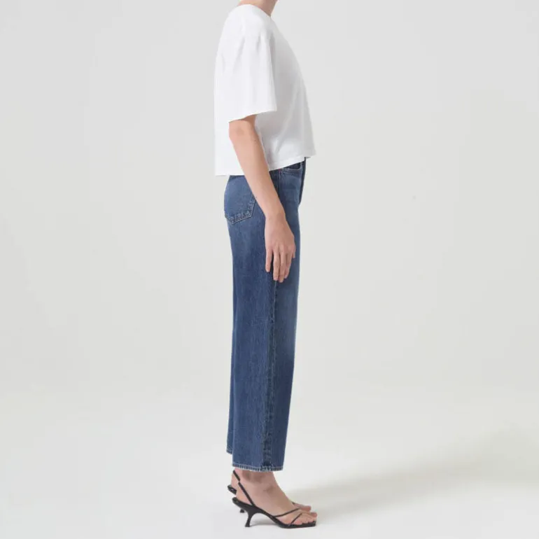 AGOLDE Ren High Rise Wide Leg Jeans in Control