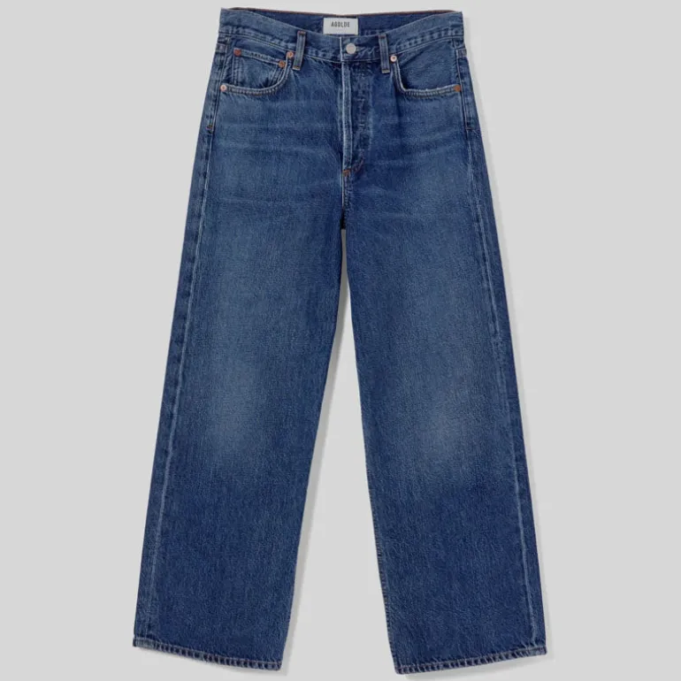 AGOLDE Ren High Rise Wide Leg Jeans in Control