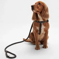 Barbour Leather Snap Lead in Dark Brown