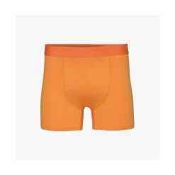 Classic Organic Boxer Briefs in Sunny Orange | Collen and Clare