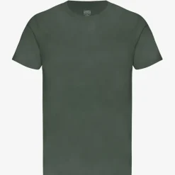 COLORFUL STANDARD Classic Organic T Shirt in Midnight Forest