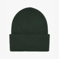 Colorful Standard Merino Wool Beanie Hat in Hunter Green