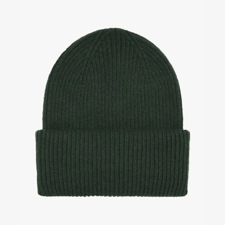 Colorful Standard Merino Wool Beanie Hat in Hunter Green