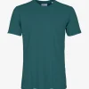 Colourful Standard Classic Organic T Shirt in Ocean Green