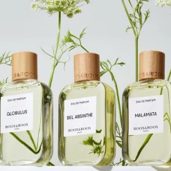 Les Simples Globulus EDP 100ml | Collen & Clare